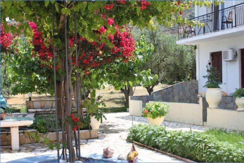 Ballas Apartments Agia Efimia 외부 사진